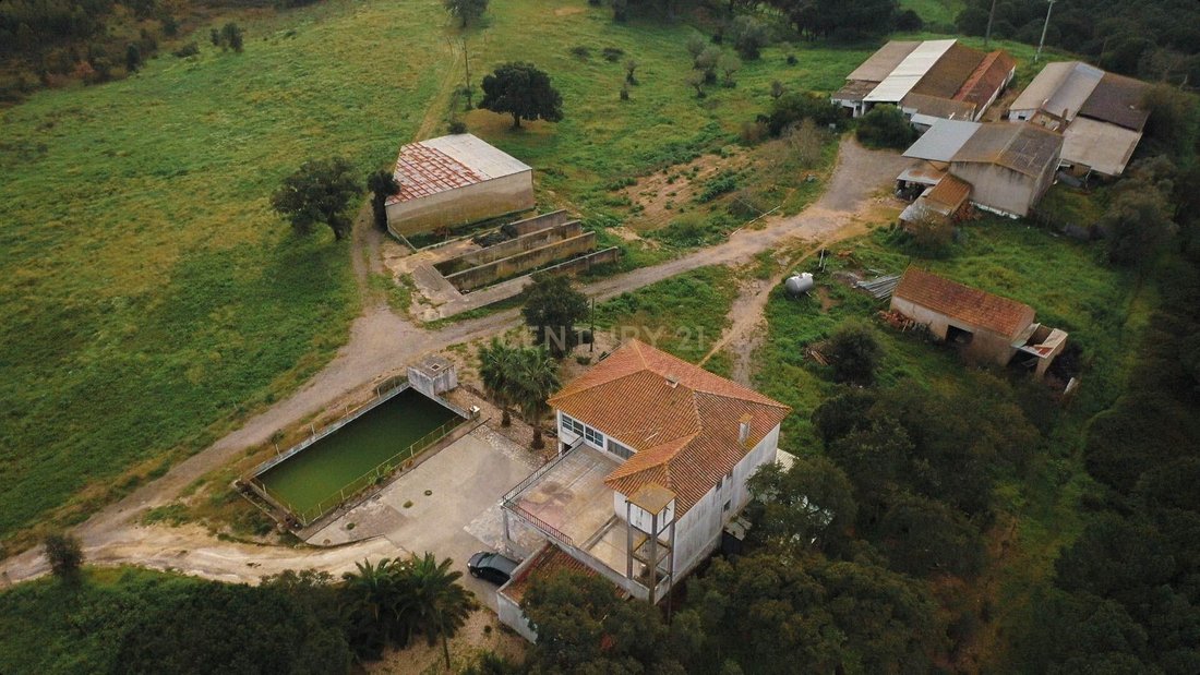 Farm Ranch in Cidade de Santarem, Santarem District, Portugal 1 - 13908117