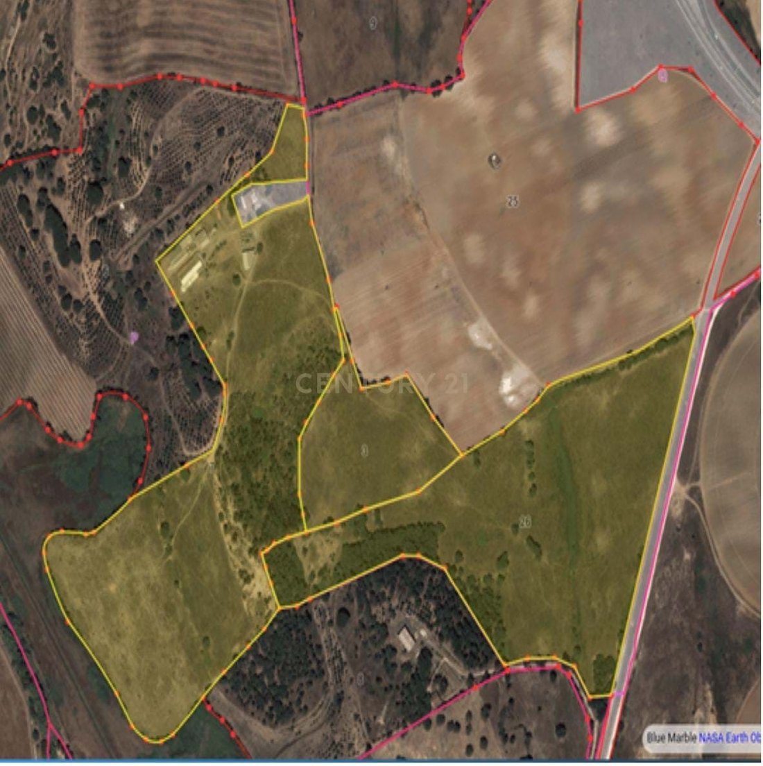 Farm Ranch in Cidade de Santarem, Santarem District, Portugal 5 - 13908117