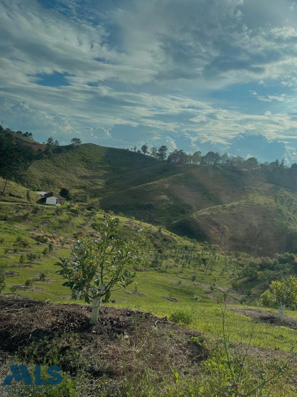 Land in Rionegro, Rionegro, Kolumbien 2 - 16260413