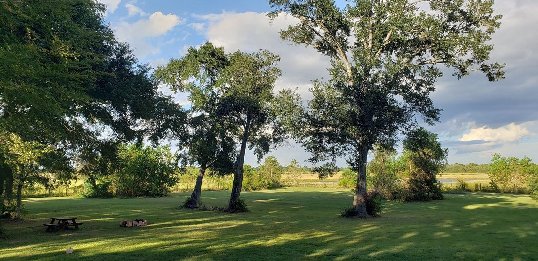 House in Waller, Texas, United States 2 - 16260714