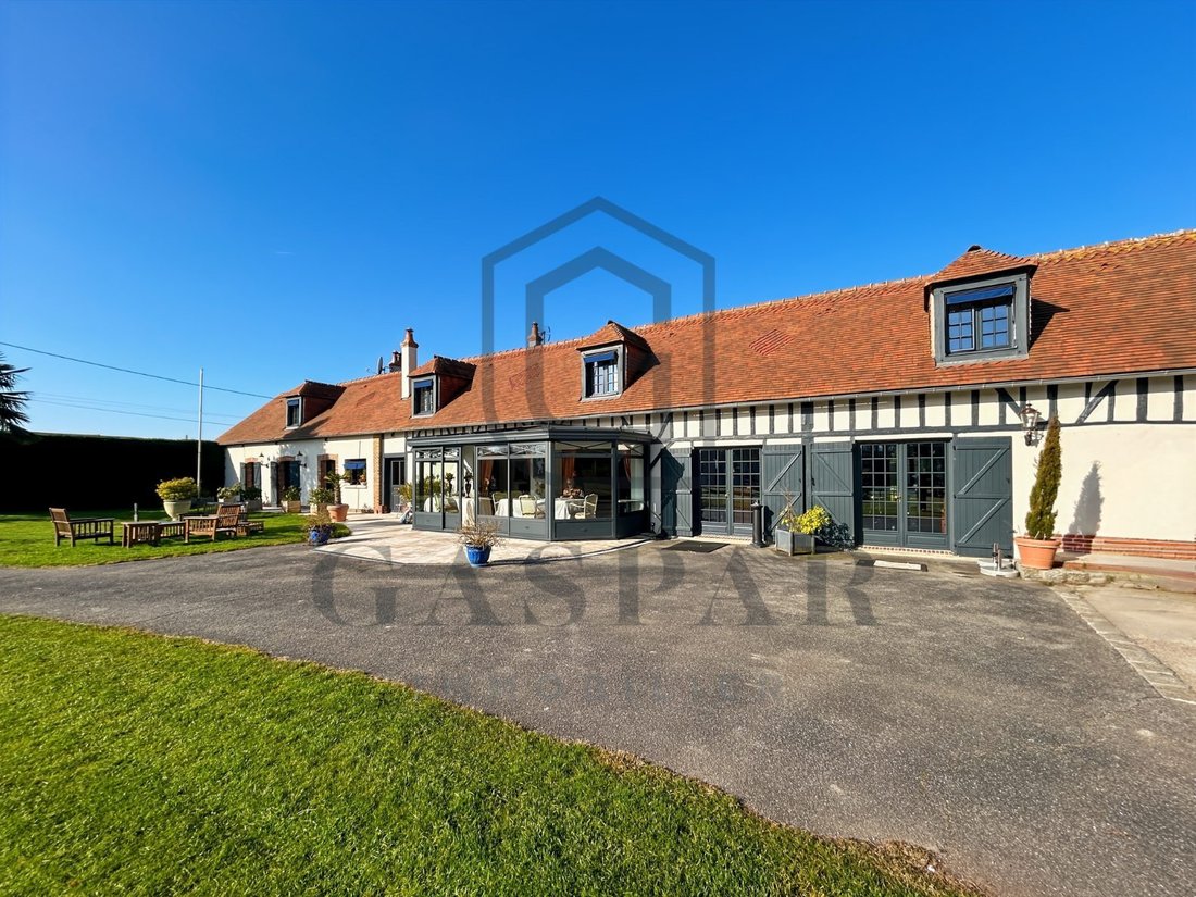 La Vieille Lyre: A Whisper of Normandy’s Golden Age - 5