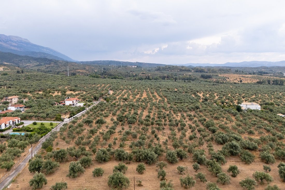 Land in Community of Mystras, Peloponnese, Western Greece and the Ionian, Griechenland 4 - 16261007