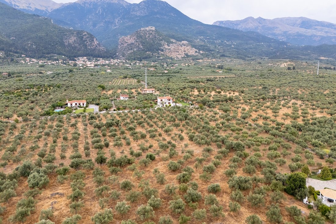 Land in Community of Mystras, Peloponnese, Western Greece and the Ionian, Griechenland 1 - 16261007