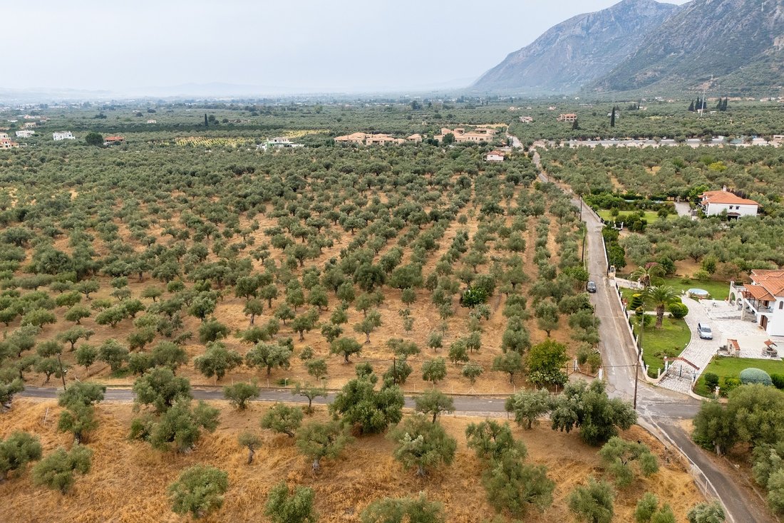 Land in Community of Mystras, Peloponnese, Western Greece and the Ionian, Griechenland 2 - 16261007
