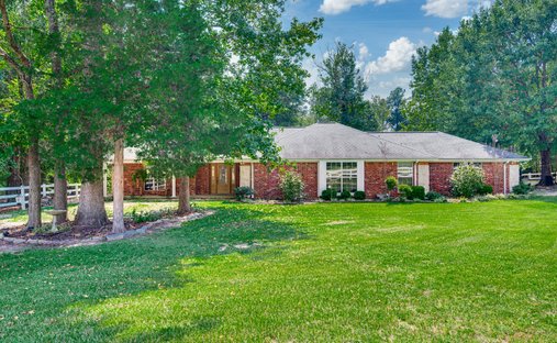 Farm Ranch in Palestine, Texas, United States 1