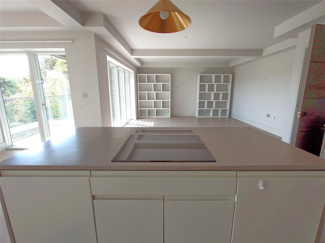 Apartment in Truro, England 4 - 16262167