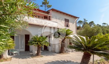 Villa in Monterosso al Mare, Liguria, Italy 1