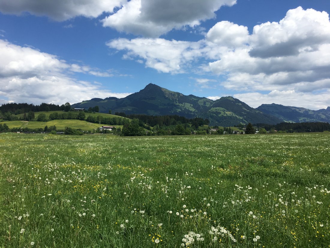 Building Plot In A Sunny Prime Location Near Golf Club Schwarzsee