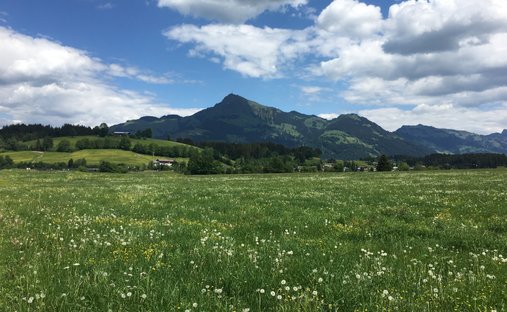 Land in Reith bei Kitzbühel, Tirol, Österreich 1