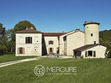Castle for Sale in Septfonds, Occitanie, France - 2
