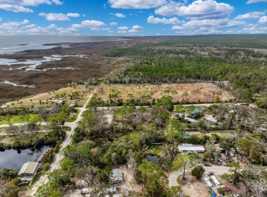 Haus in Steinhatchee, Florida, Vereinigte Staaten 5 - 16270694