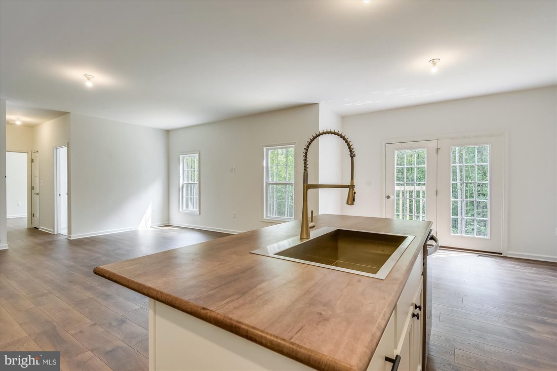 House in Rixeyville, Virginia, United States 5 - 16273088
