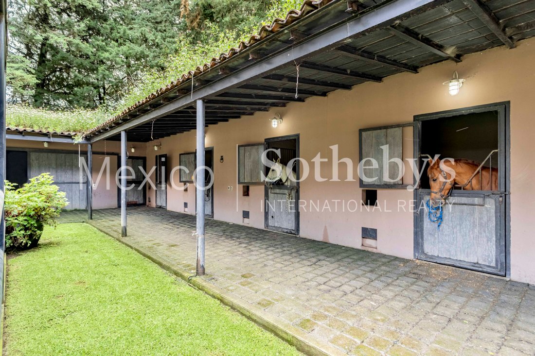 Farm Ranch in Santa Catarina Yecahuitzotl, Mexico City, Mexico 5 - 16275592