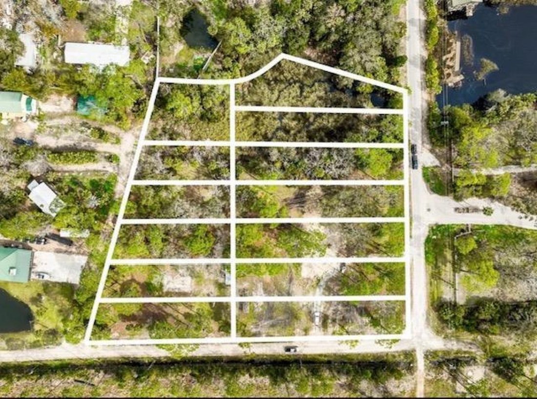 Haus in Steinhatchee, Florida, Vereinigte Staaten 2 - 16270694
