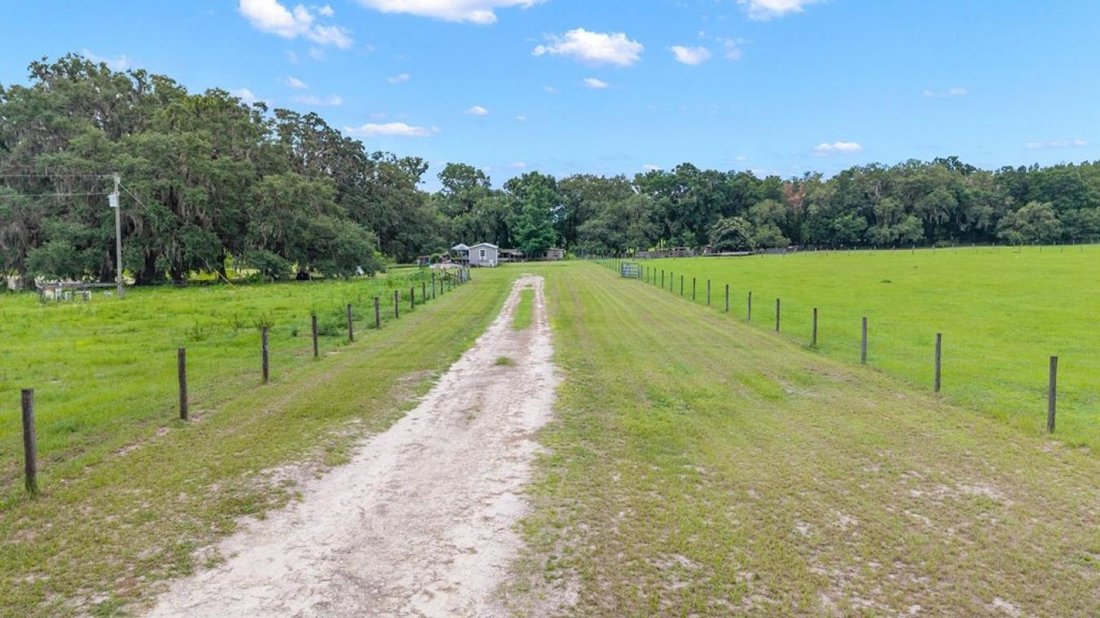 House in Morriston, Florida, United States 5 - 16270696