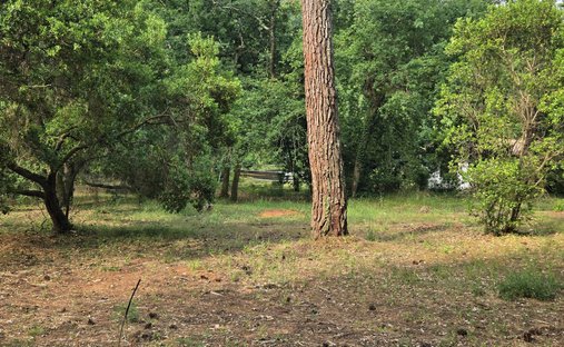 Land in Aiguillon, Arcachon, France 1