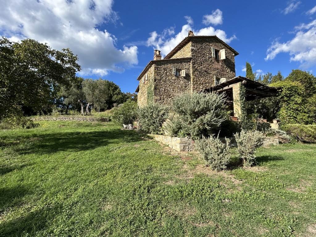 Umbertide, Umbria, Italy 2 - 16273502