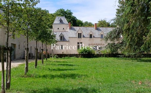 Spacious Property With Separate Guest Lodgings In Wooded Park Of 19 Acres, 15 Km From Blois.