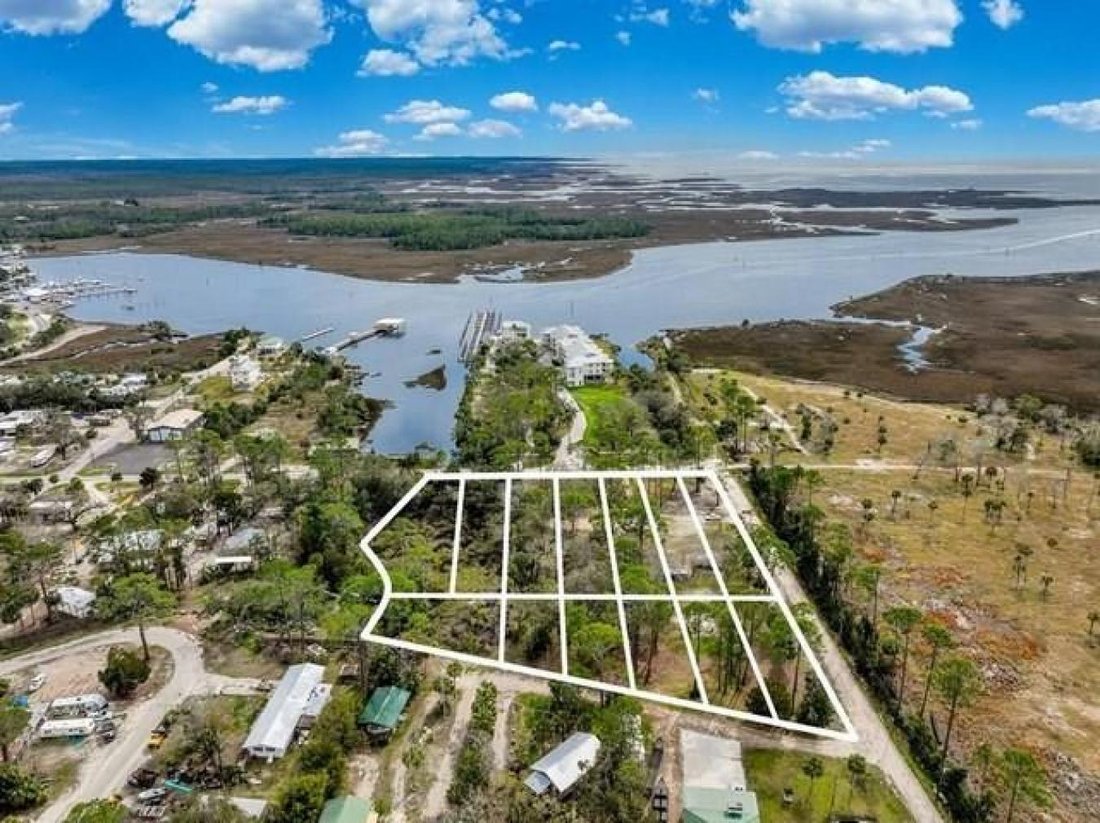 Haus in Steinhatchee, Florida, Vereinigte Staaten 1 - 16270694