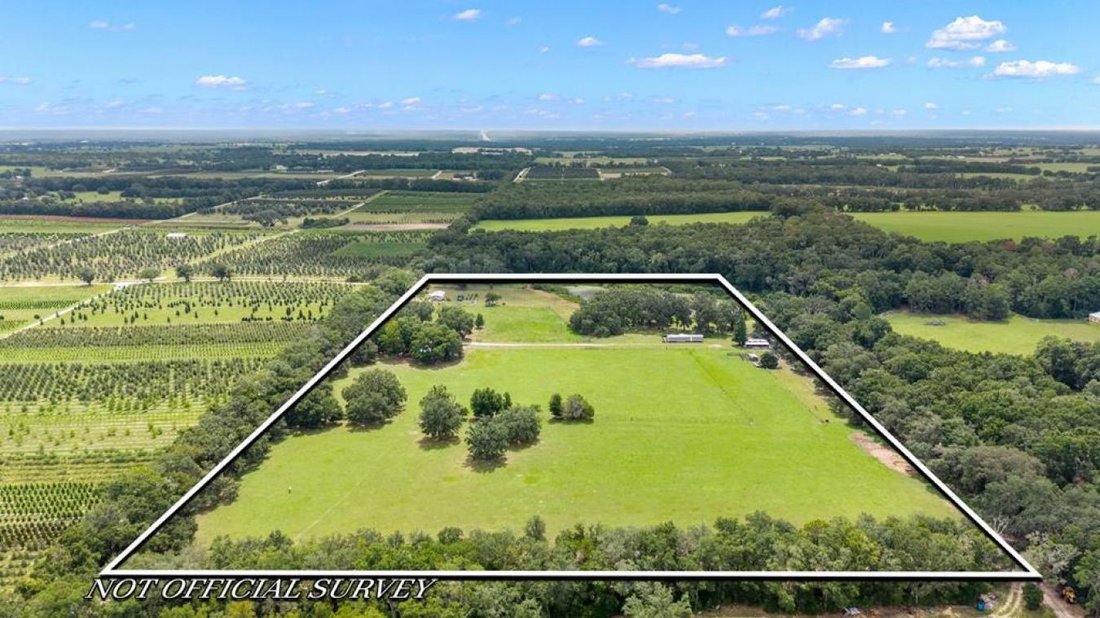 House in Morriston, Florida, United States 1 - 16270696