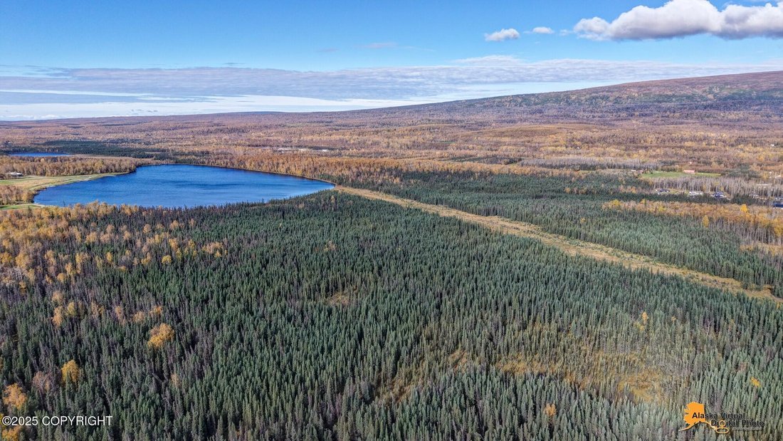 Land in Wasilla, Alaska, United States 4 - 16269865