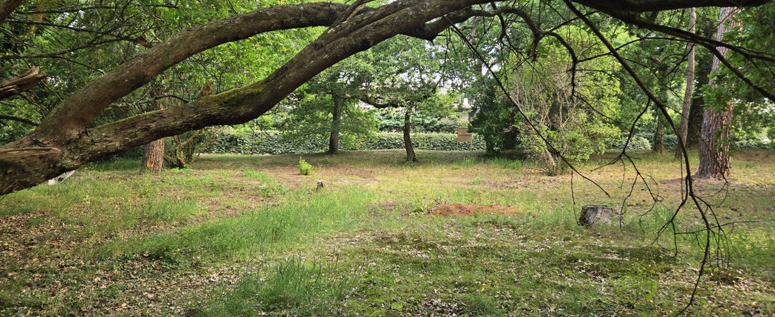 Land in Aiguillon, Arcachon, France 3 - 16013273