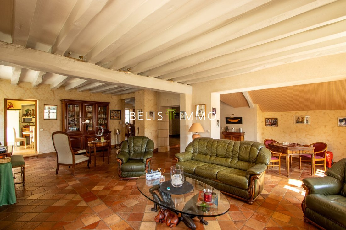 Villa in La Croix-en-Touraine, Centre-Val de Loire, France 4 - 16087559