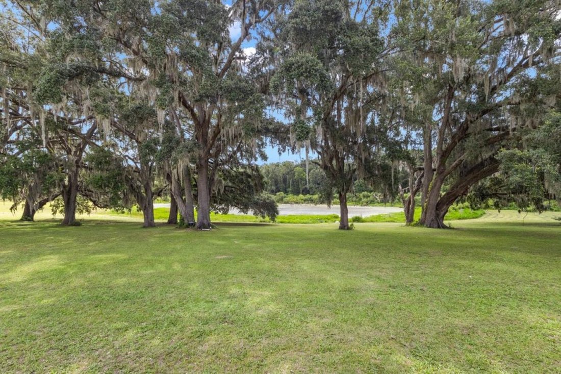 House in Morriston, Florida, United States 3 - 16270696