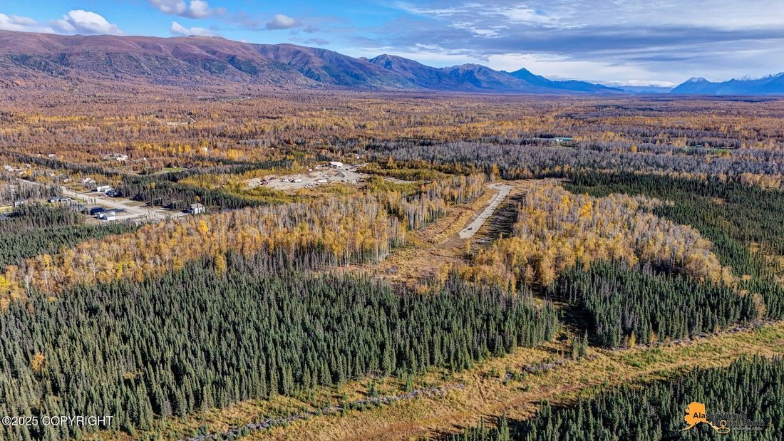Terrain à Wasilla, Alaska, États-Unis 5 - 16269855