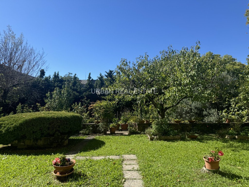 Villa in Barriera Vecchia, Trieste, Italy 4 - 16269888