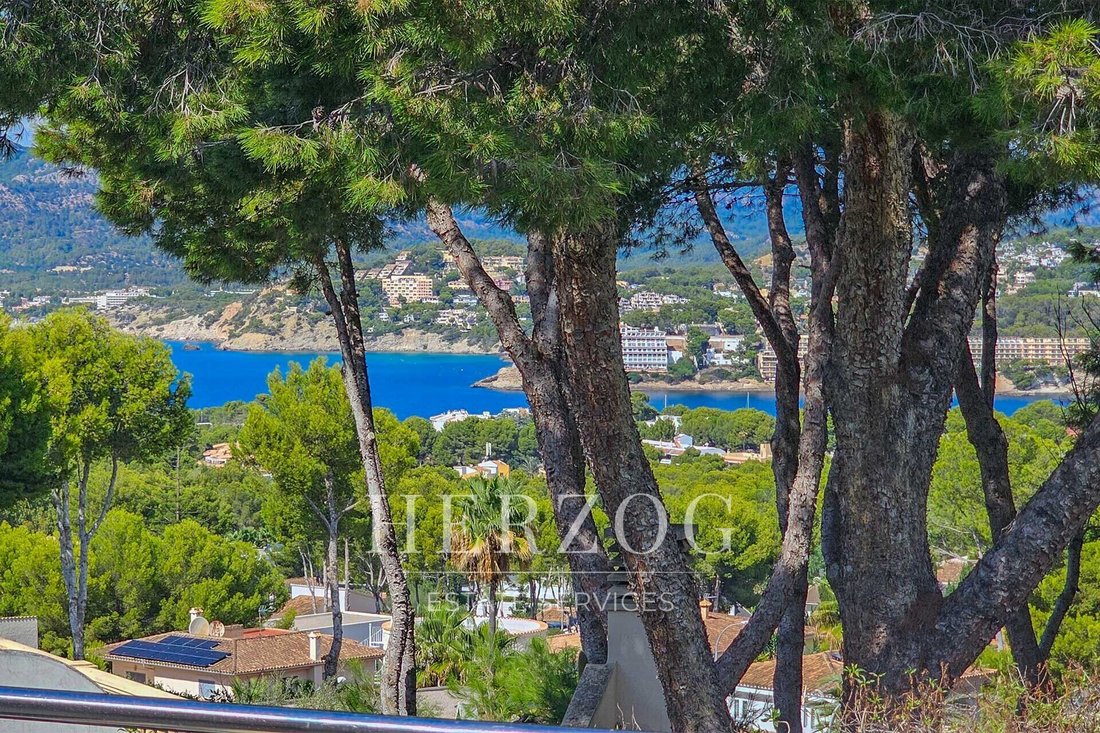 Villa in Rotes Velles, Calvia, Balearic Islands 2 - 16258101