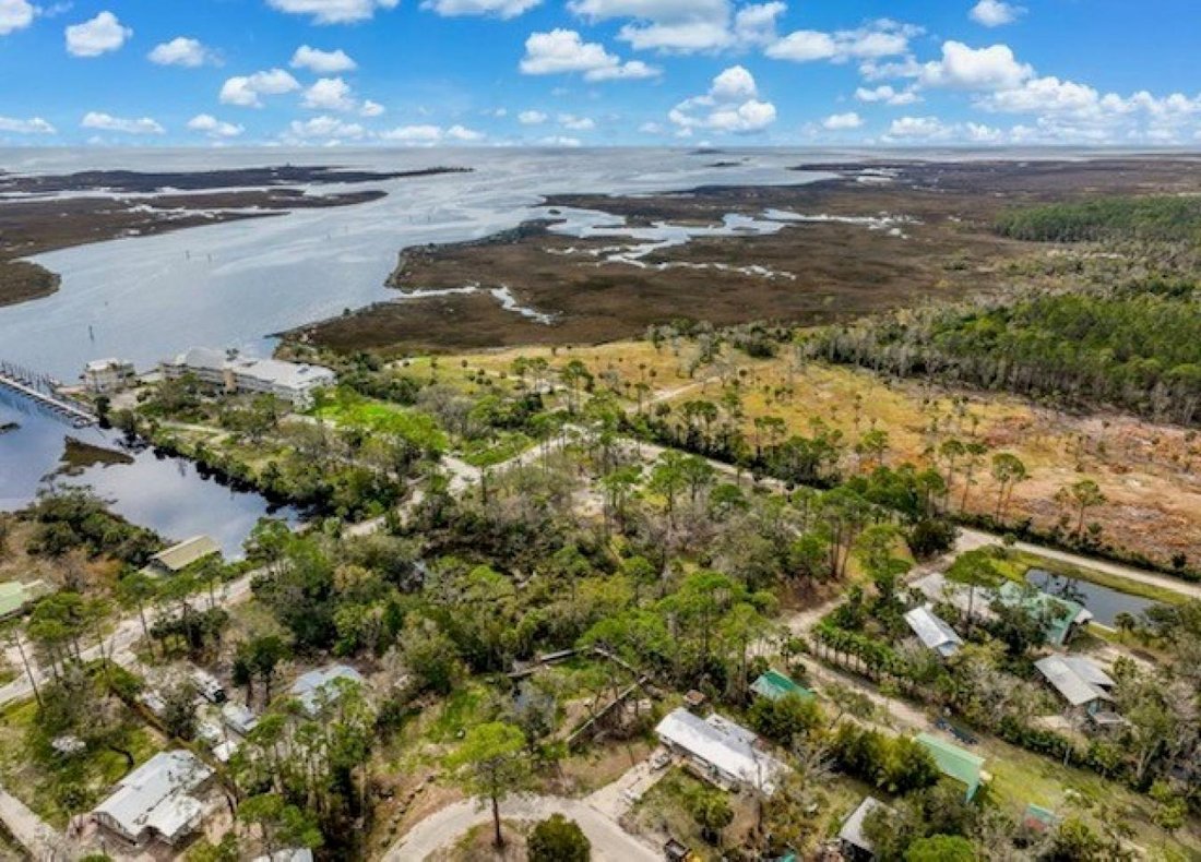 Haus in Steinhatchee, Florida, Vereinigte Staaten 4 - 16270694