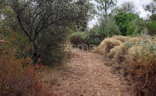 Terreno a Borba (Matriz), Distretto di Évora, Portogallo 1