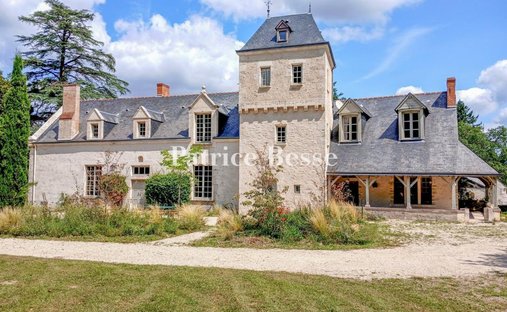 Spacious Property With Separate Guest Lodgings In Wooded Park Of 19 Acres, 15 Km From Blois.