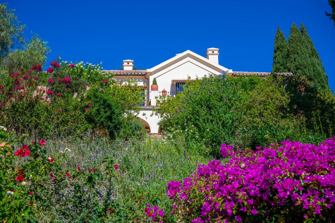 Country House in Casares, Andalusia, Spain 3 - 16268422