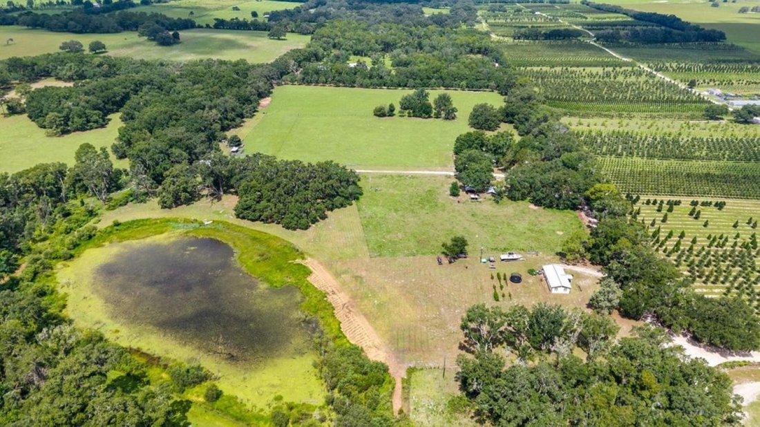House in Morriston, Florida, United States 2 - 16270696
