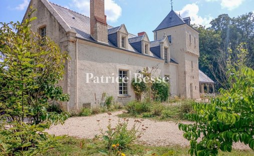 Spacious Property With Separate Guest Lodgings In Wooded Park Of 19 Acres, 15 Km From Blois.