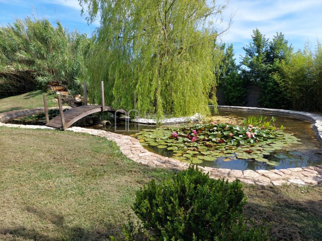 San Frediano a Settimo, Cascina, Tuscany 5 - 16268954