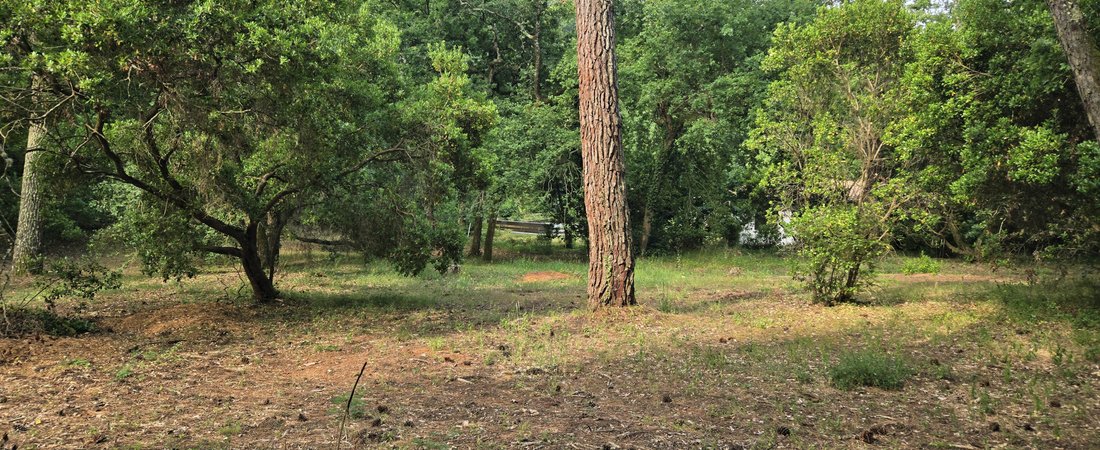 Land in Aiguillon, Arcachon, France 1 - 16013307