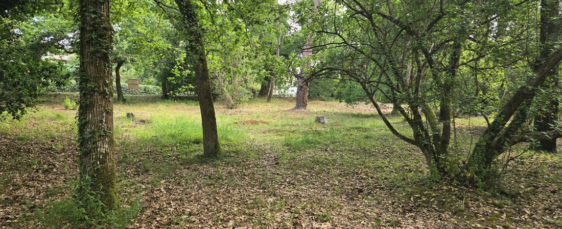 Land in Aiguillon, Arcachon, France 4 - 16013273