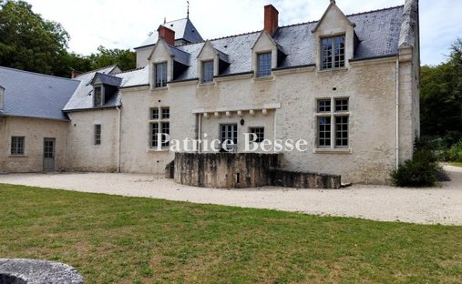 Spacious Property With Separate Guest Lodgings In Wooded Park Of 19 Acres, 15 Km From Blois.