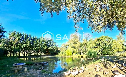 Elegant XI Xth Century Castle Beautiful Park Pool