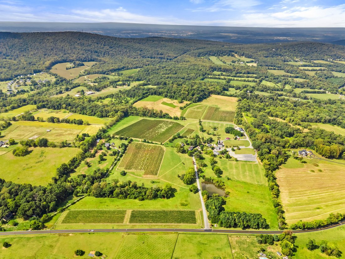 Farm Ranch in Purcellville, Virginia, United States 3 - 16275623