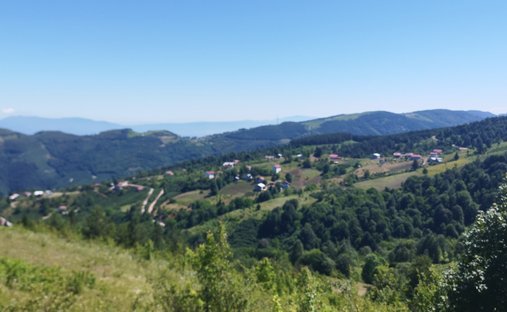 Land in Sakarya, Türkei 1