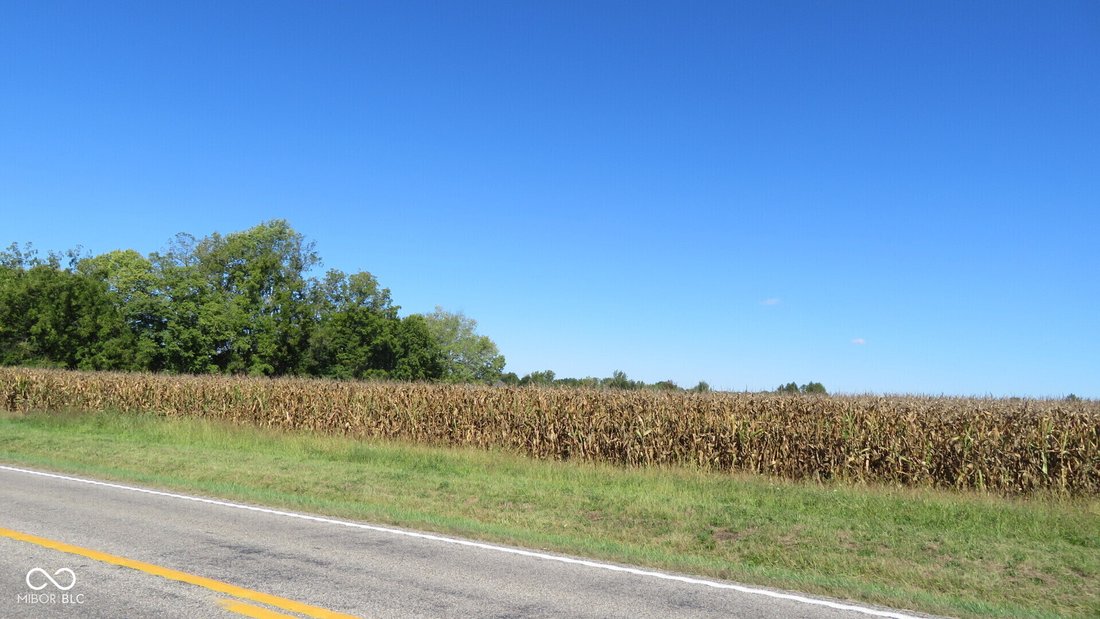 Farm Ranch in Crawfordsville, Indiana, United States 5 - 16269881