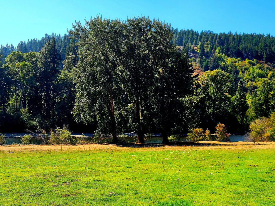 Land in Cle Elum, Washington, United States 5 - 16268179