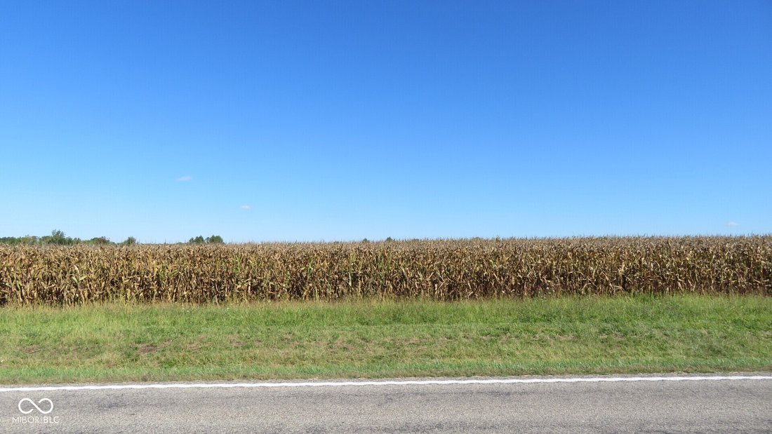 Farm Ranch in Crawfordsville, Indiana, United States 4 - 16269881