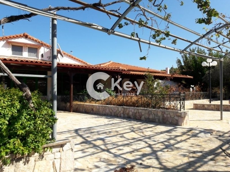 House in Kouvaras, Attica, Greece 2 - 16270427