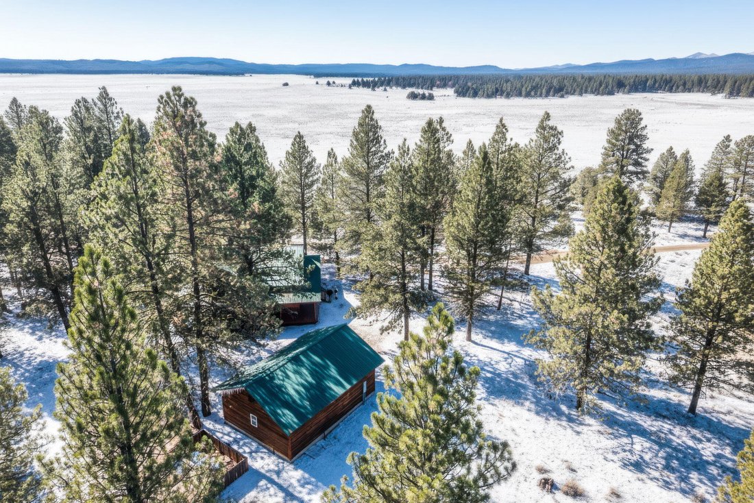 House in Canyon City, Oregon, United States 3 - 16269844