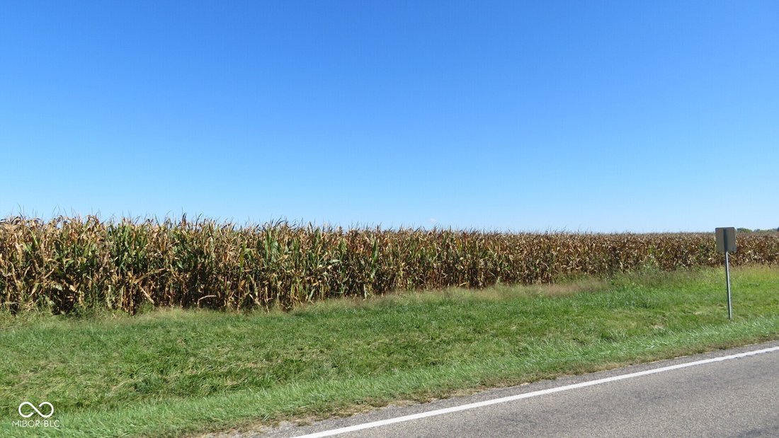 Farm Ranch in Crawfordsville, Indiana, United States 2 - 16269881